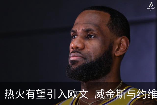 热火有望引入欧文 威金斯与约维奇或成交易筹码