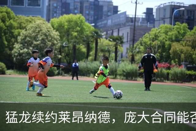 猛龙续约莱昂纳德，庞大合同能否获得认可？