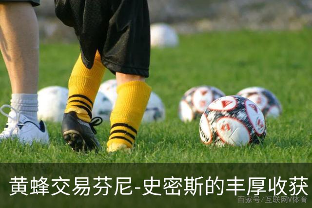 黄蜂交易芬尼-史密斯的丰厚收获：签约和未来资本的双重收益